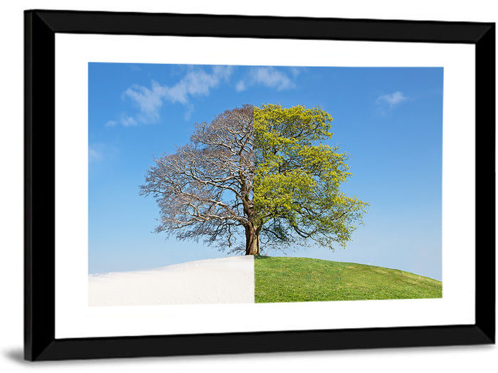 Split Season Tree Landscape Wall Art as a framed print