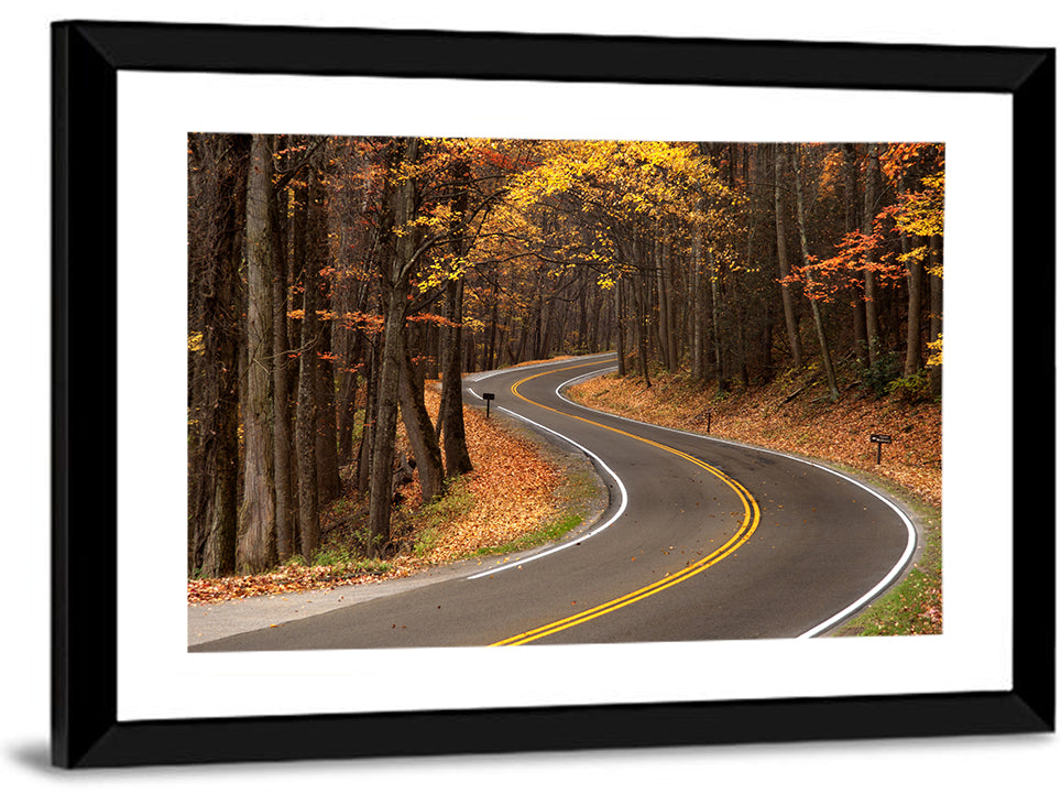 Curvy Autumn Roadway Wall Art