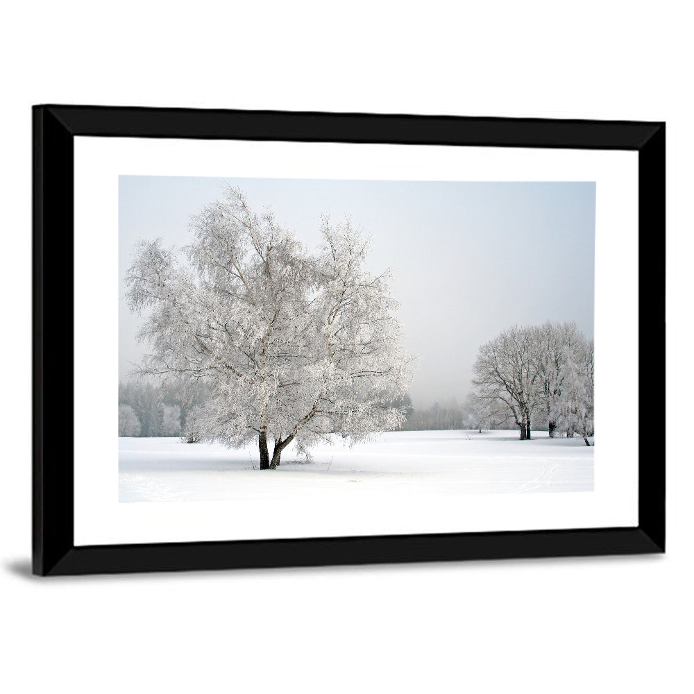 Frosty Trees Wall Art