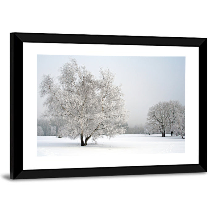 Frosted Birch Grove Wall Art as a framed print