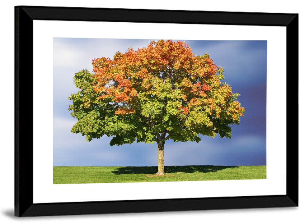 Maple Tree Wall Art