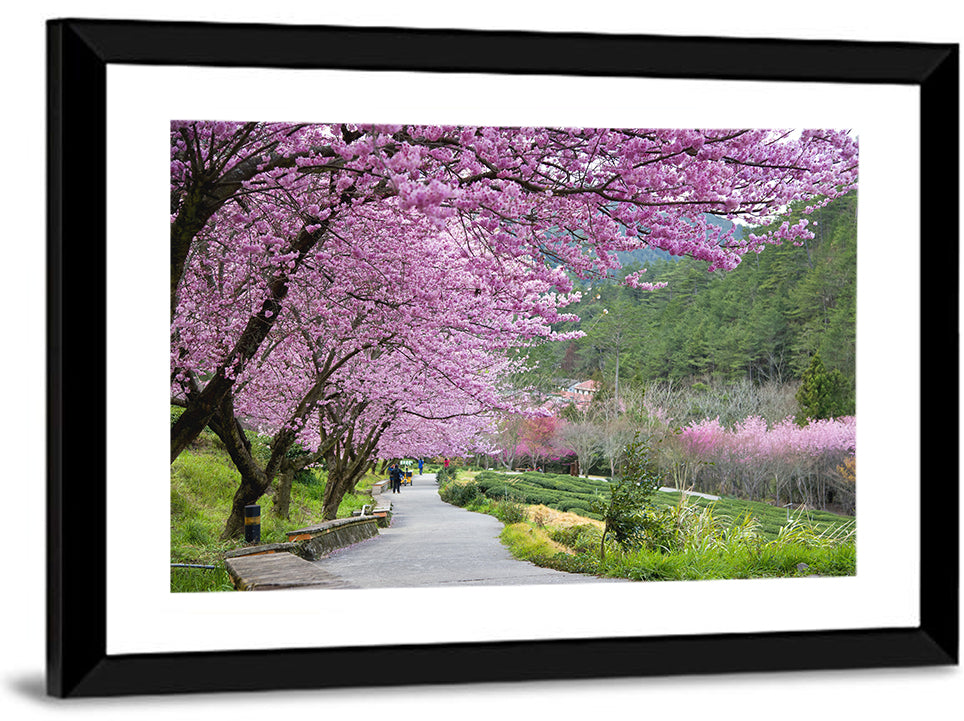 Sakura Garden Taiwan Wall Art