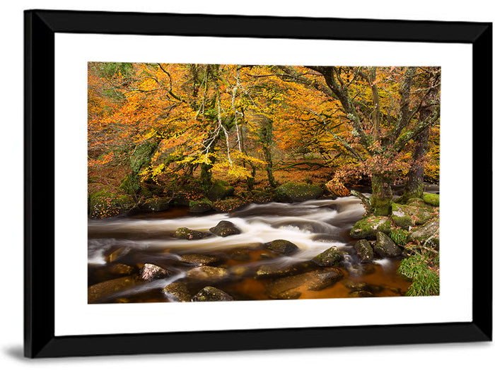 Dartmoor Autumn River in Golden Forest Wall Art as a framed print