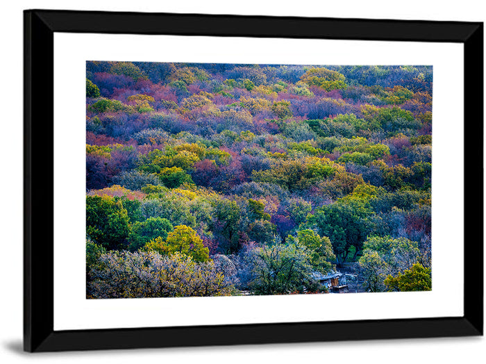 Autumn Canopy Forest with Cabin Roof Wall Art as a framed print
