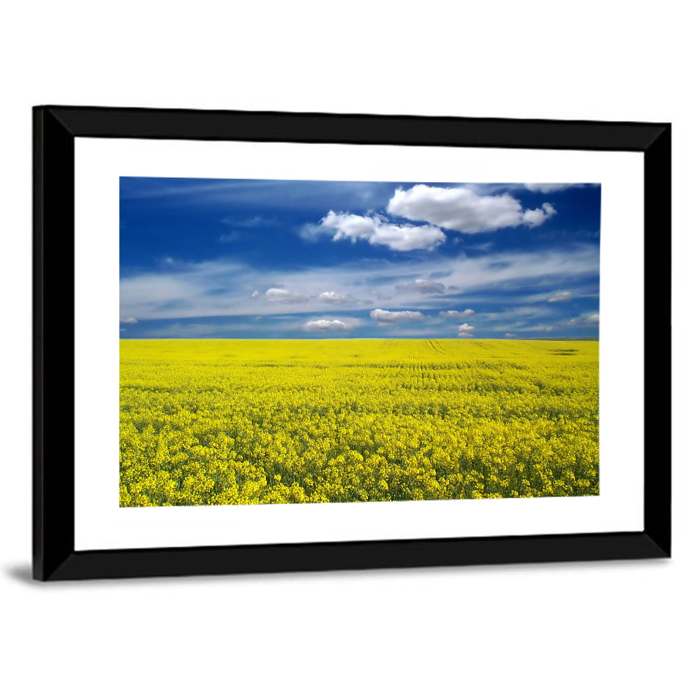 Canola Field Wall Art