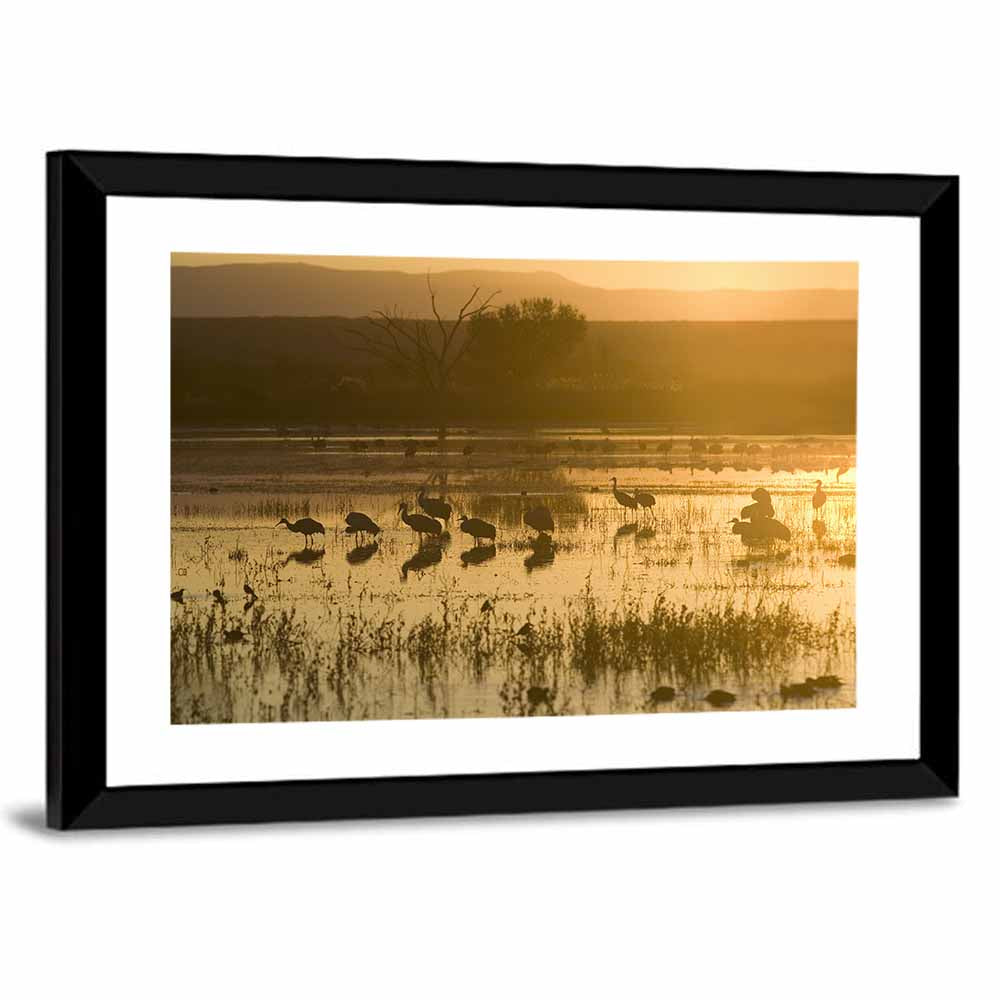 Sandhill Cranes On Lake Wall Art