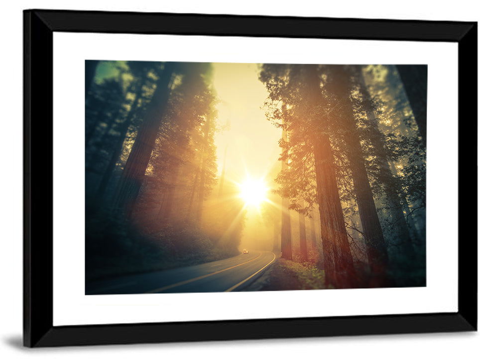 Redwood Forest Road Wall Art