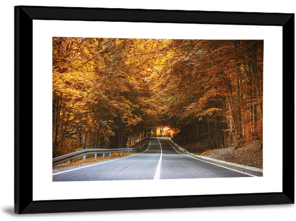 Dense Forest Road Wall Art