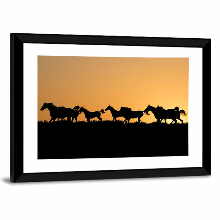 Arabian Horse Silhouettes at Sunset Wall Art as a framed print