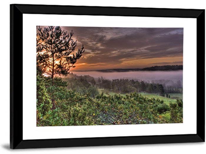 Misty Swedish Pine Valley Wall Art as a framed print