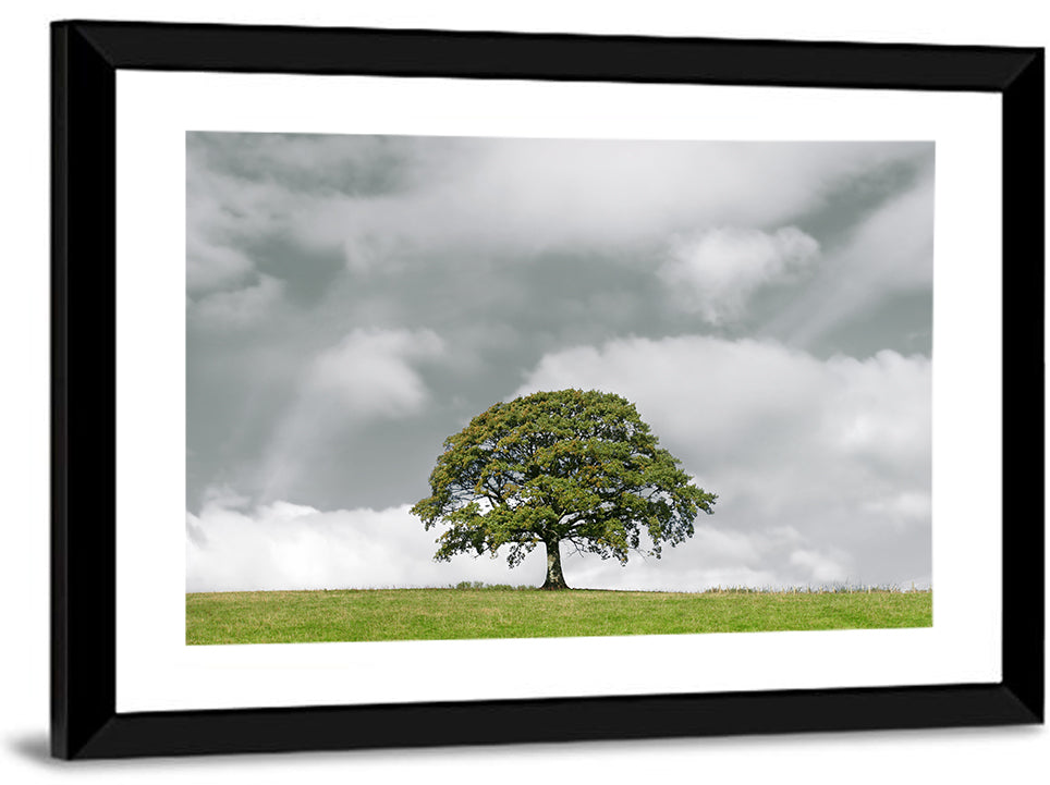 Oak Tree Wall Art