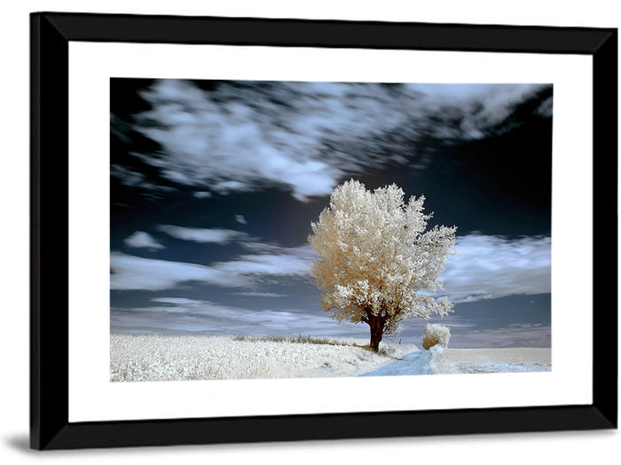 Infrared Winter Willow Tree Wall Art as a framed print