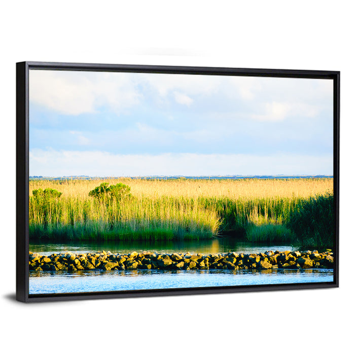 Louisiana Bayou Marsh at Golden Hour Wall Art as a framed canvas