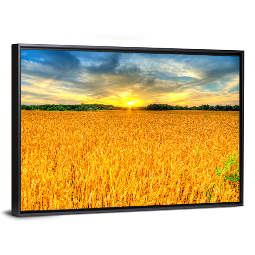 Wheat Field Sunset Wall Art