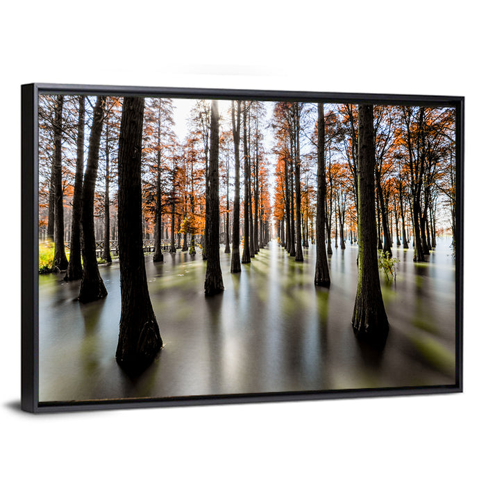 Autumn Flooded Cypress Forest Wall Art as a framed canvas