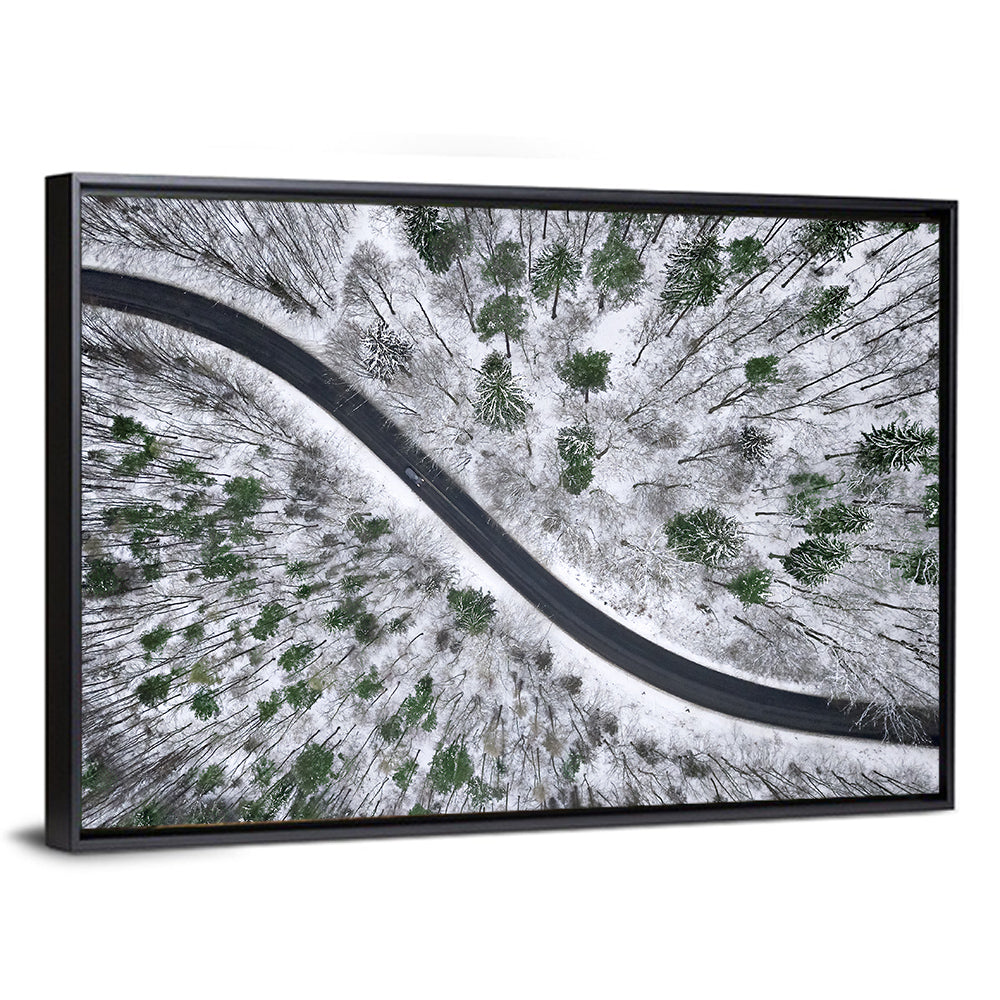 Snowy Forest Road Wall Art
