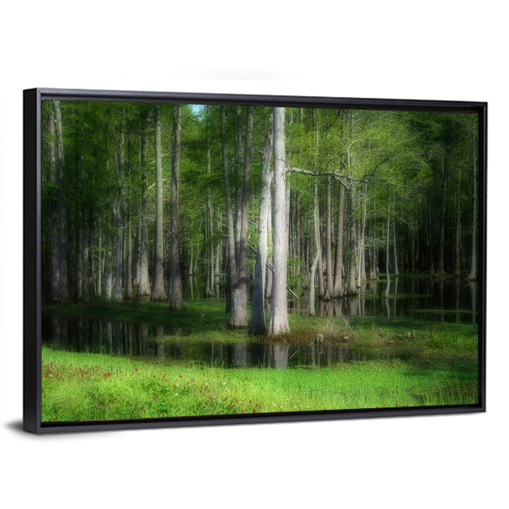 Lush Green Swamp Wall Art