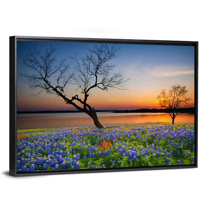 Texas Bluebonnet Sunset Wall Art as a framed canvas