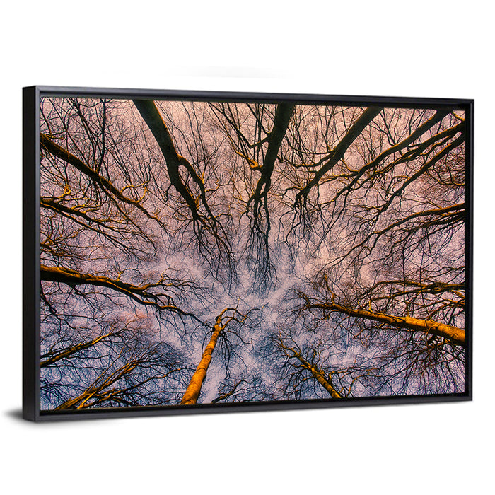 Misty Forest Canopy Wall Art as a framed canvas