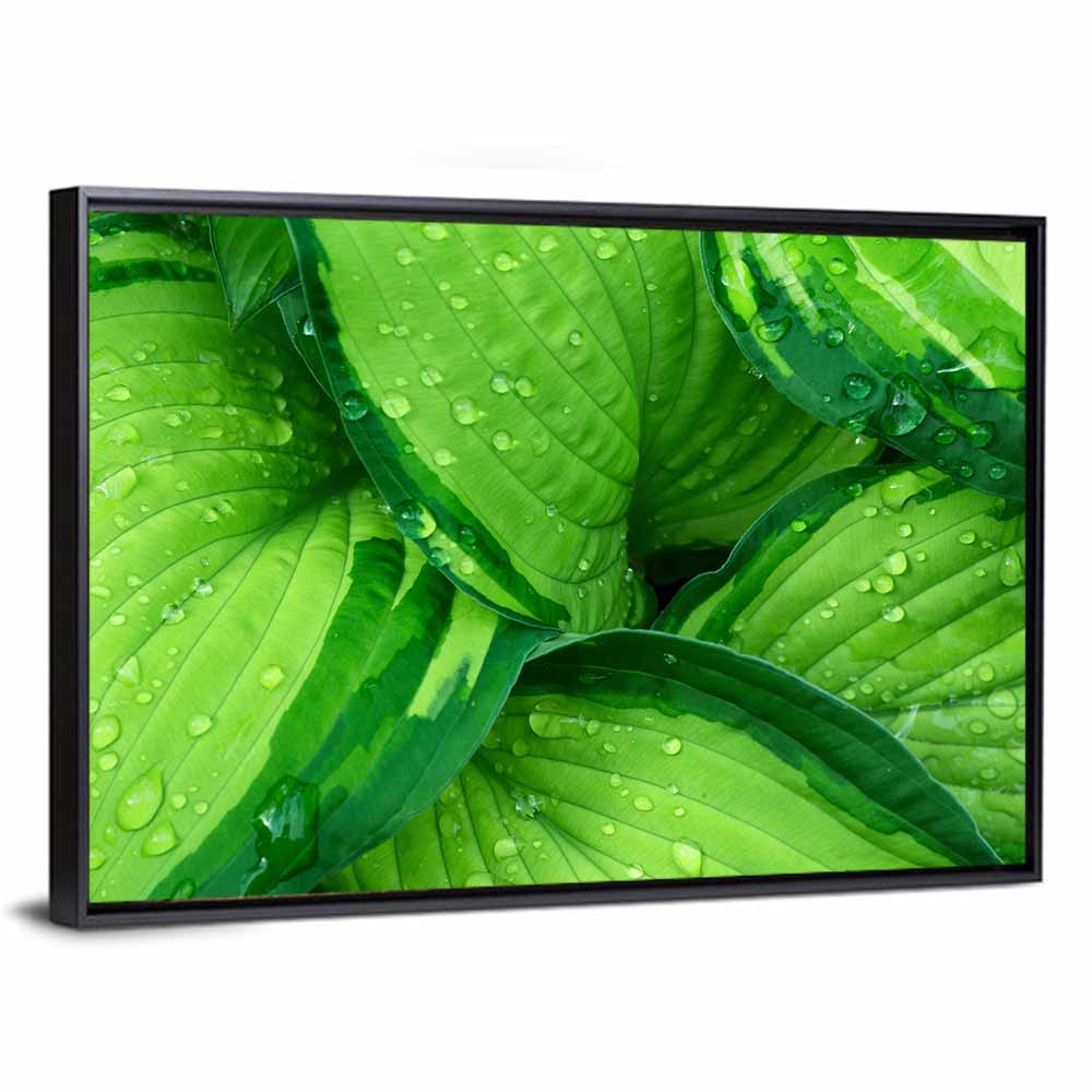 Botanical Foliage Wall Art