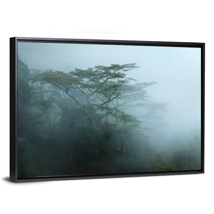Misty Rainforest Canopy Wall Art as a framed canvas