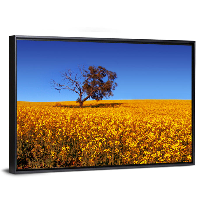 Canola Field with Lone Tree Wall Art as a framed canvas