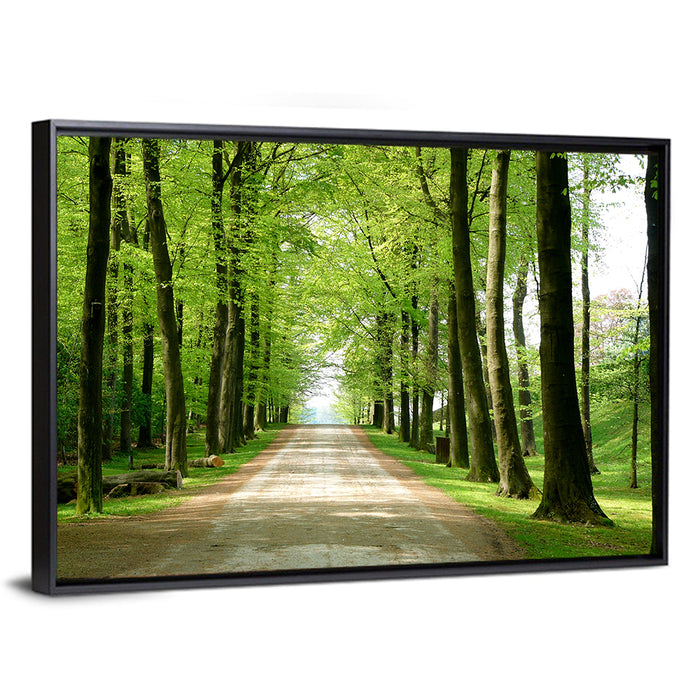 Sunlit Tree-lined Path Wall Art as a framed canvas
