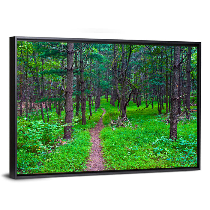 Lush Virginia Forest Trail Wall Art as a framed canvas