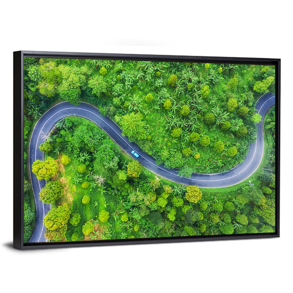 Summer Forest Road Wall Art