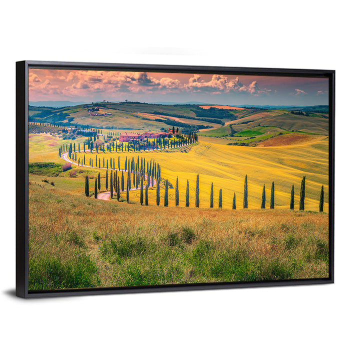 Val D'orcia Cypress Road Wall Art as a framed canvas