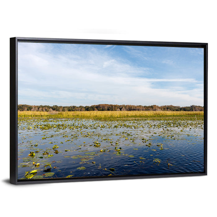 Cloudy Lake Toho Wall Art as a framed canvas