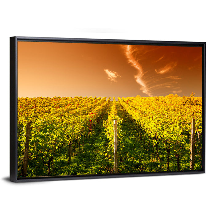 Golden Vineyard Sunset Wall Art as a framed canvas
