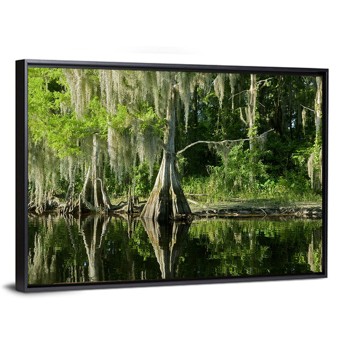 Bald Cypress and Great Blue Heron Wall Art as a framed canvas