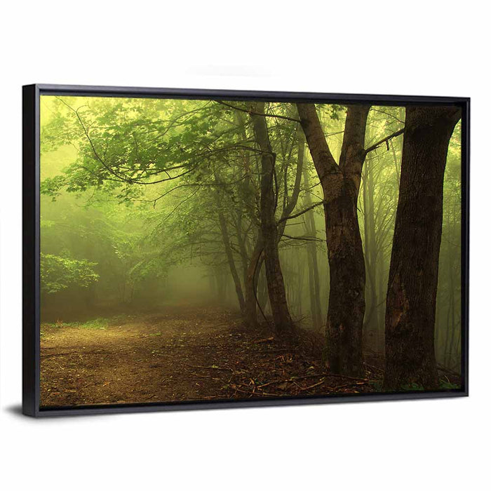 Misty Green Forest Path Wall Art as a framed canvas