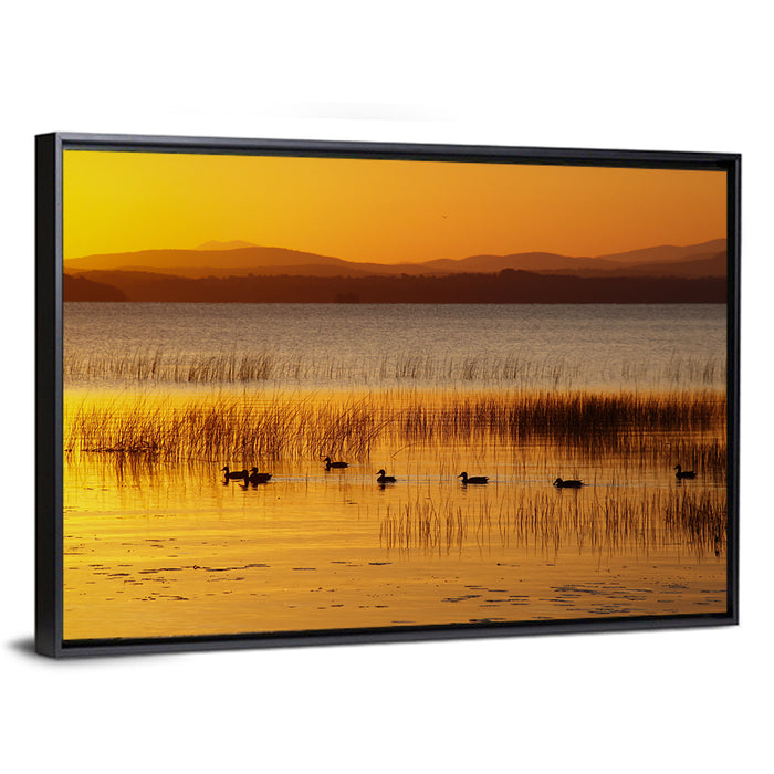 Lake Champlain Golden Sunrise Wall Art as a framed canvas