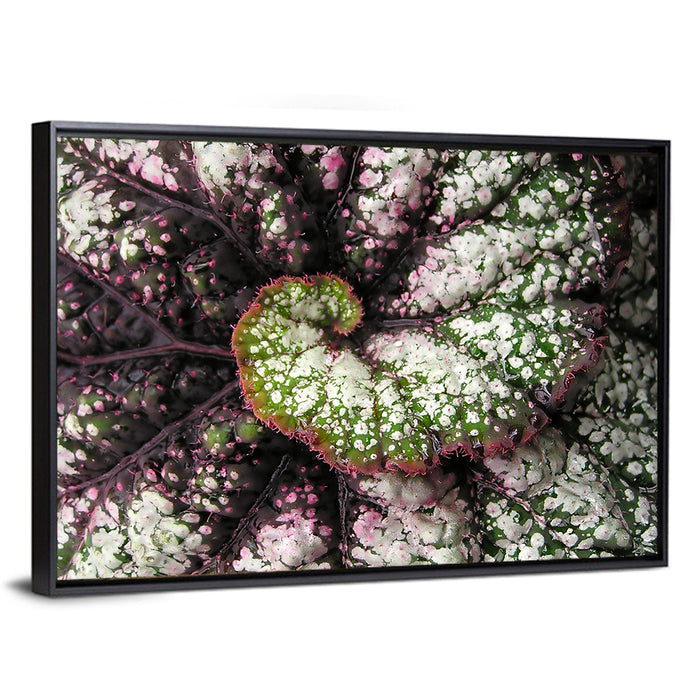 Begonia Leaf Spiral Geometry Wall Art as a framed canvas