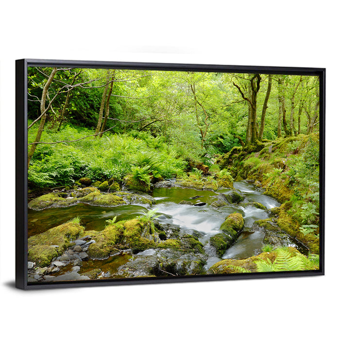 Mossy Stream Through Forest Wall Art as a framed canvas