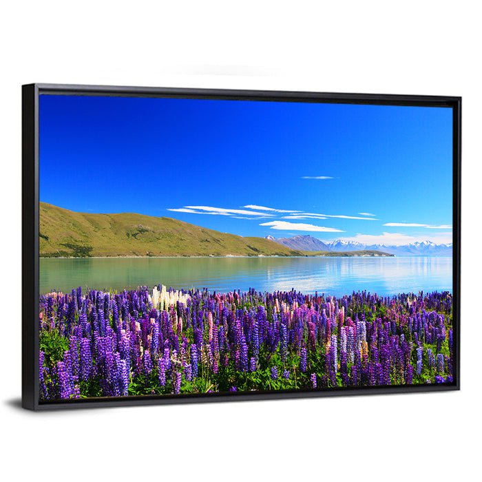 Lake Tekapo Lupine Fields Wall Art as a framed canvas