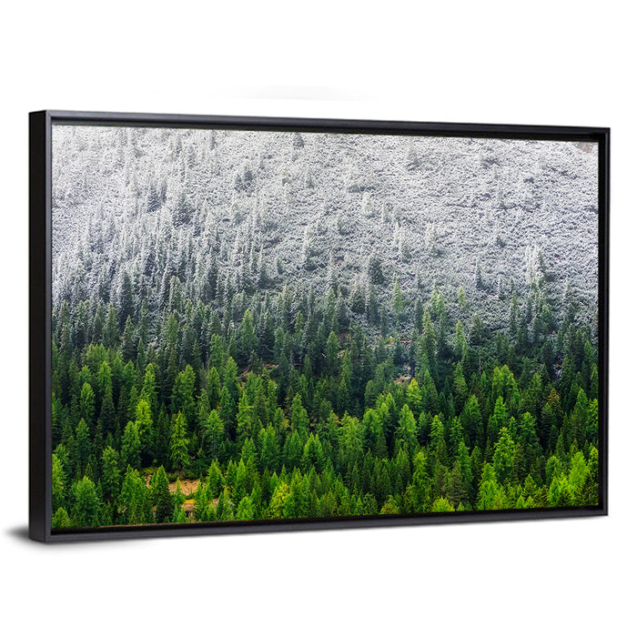 Snowy Dolomites Forest Wall Art as a framed canvas