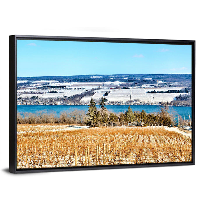 Seneca Lake Vineyard Wall Art as a framed canvas