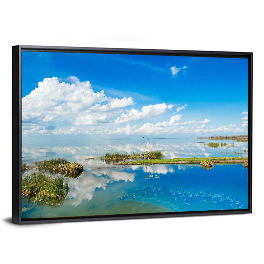 Lake Apopka Wall Art