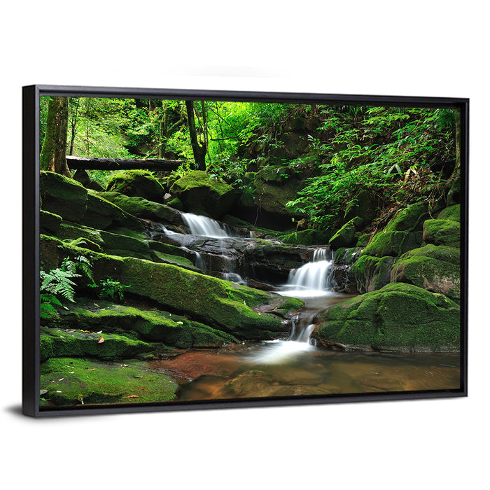 Mossy Rainforest Stream Wall Art as a framed canvas