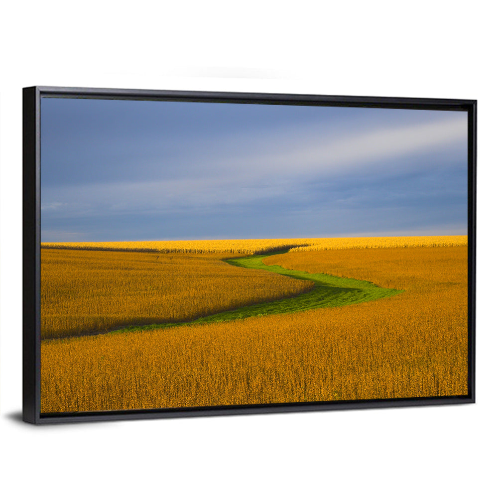 Soybean Field Wall Art