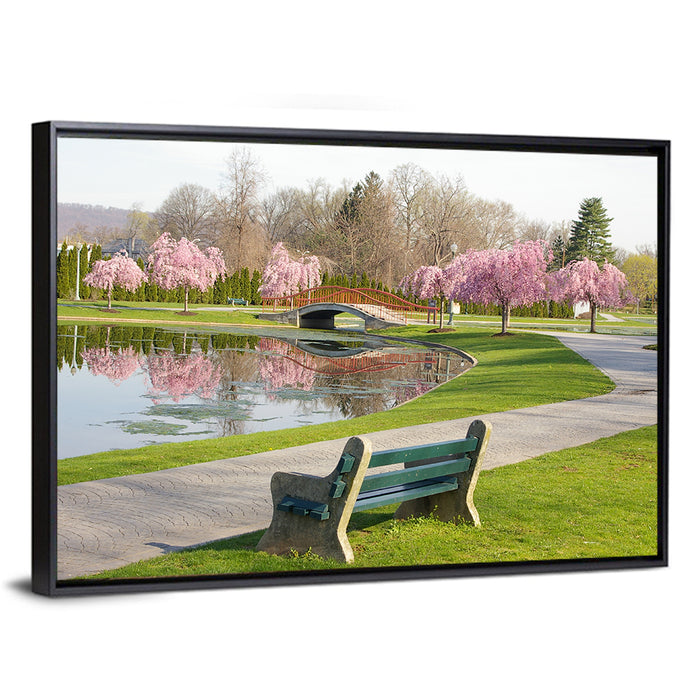 Harrisburg Park Cherry Blossoms Wall Art as a framed canvas