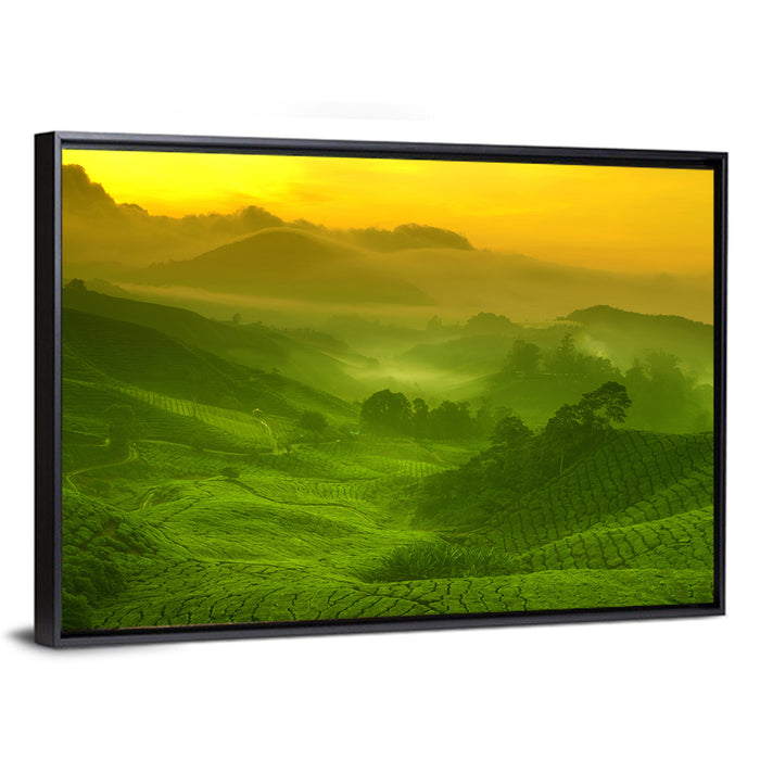 Sunlit Tea Plantation Hills Wall Art as a framed canvas