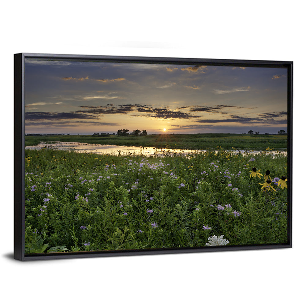 Illinois Fields Sunset Wall Art
