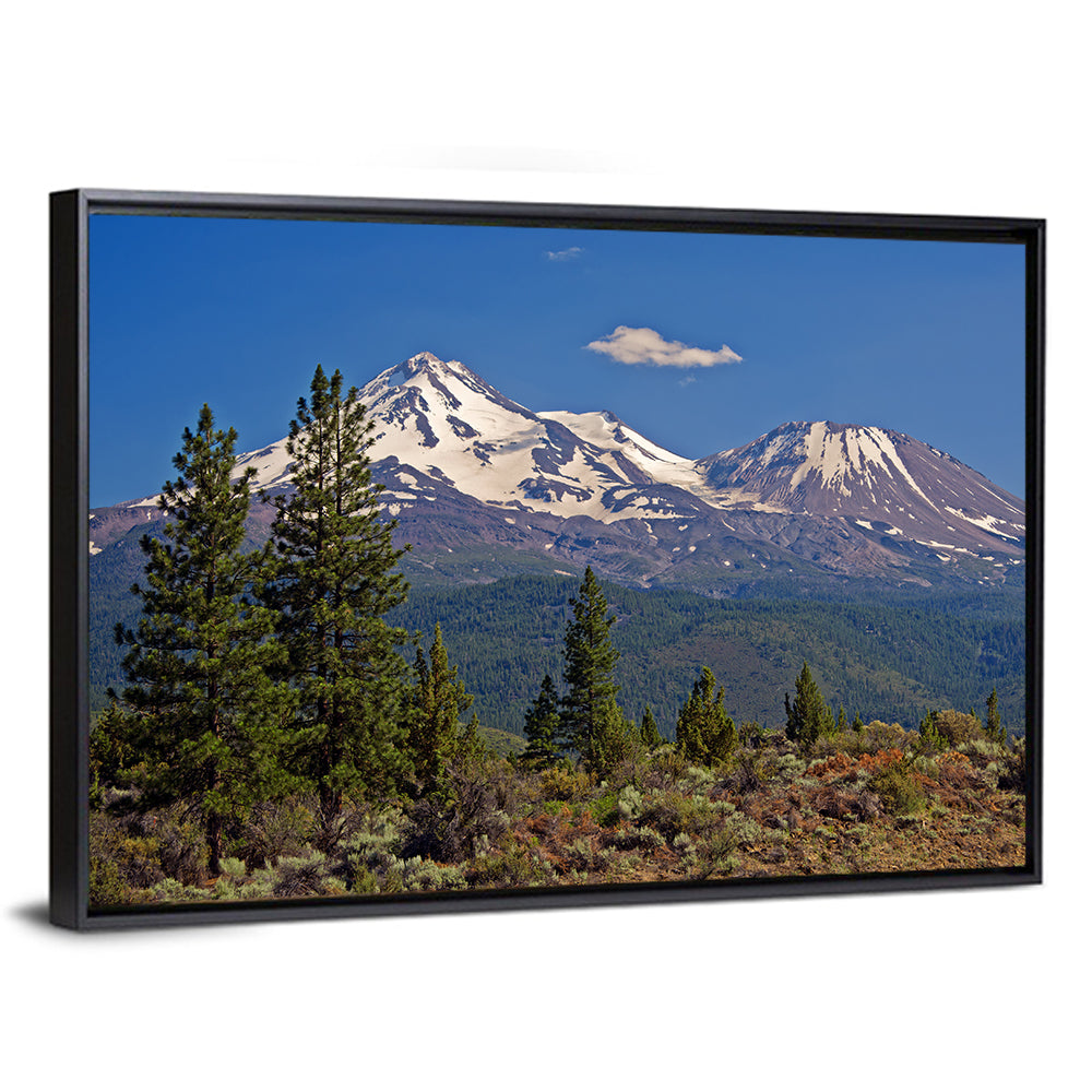 Mount Shasta Wall Art