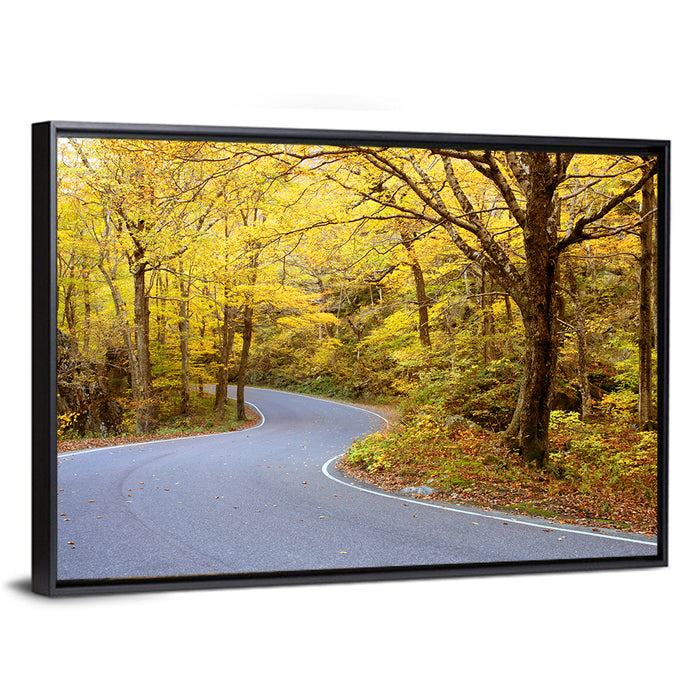 Winding Road Through Autumn Foliage Wall Art as a framed canvas