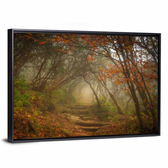 Craggy Garden Path Wall Art as a framed canvas