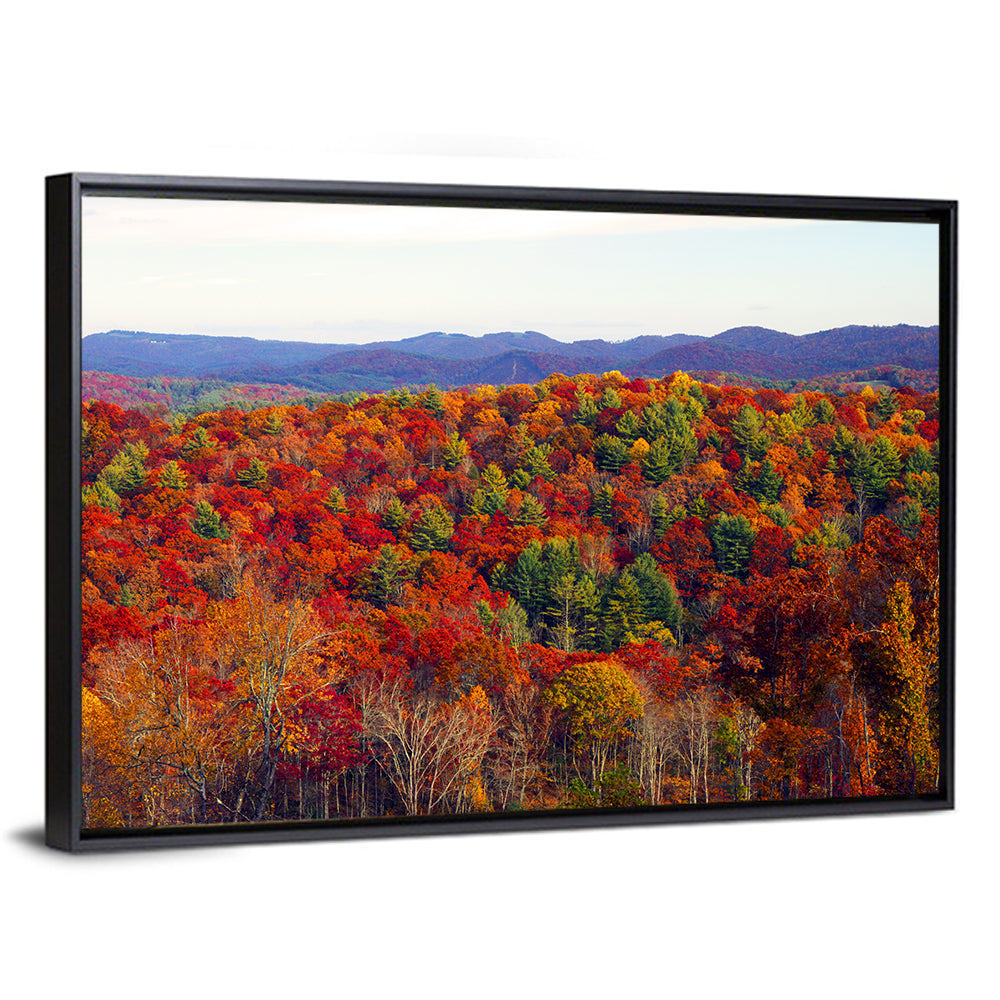 Appalachian Mountains Forest Wall Art